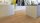 Gerflor Lock 55 [Insight] Clic -Ballerina 0347- klickbarer Vinyl-Fußbodenbelag für den Objektbereich-Designboden- Paket a 1,86m²