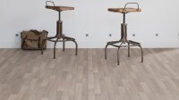 Gerflor Texline HQR - Lodge Milk 1439 Holzdekor PVC Linoleum Rolle Fußbodenbelag mit hoher Belastbarkeit auch im gewerblichem Bereich