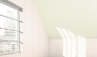 PARADOR RapidoClick - Esche weiß geplankt - Dekor-Paneele - für Wand und Decke mit Feuchtraumeignung und Nut-Feder-Verbindung