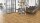 PARADOR Basic 11-5 - Parkettboden Fertigparkett Eiche rustikal - Breite Landhausdiele lackversiegelt matt - attraktiver, zeitloser Holzfussboden - Paket a 4,07m²